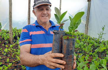 Arildo Mudas de Marolo Arildo Mudas de Marolo