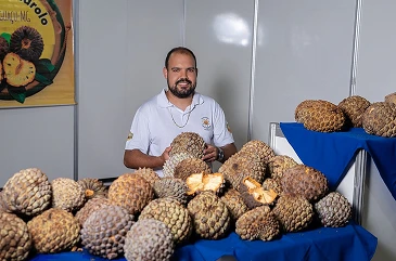 Associação Terra do Marolo