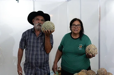Associação Terra do Marolo